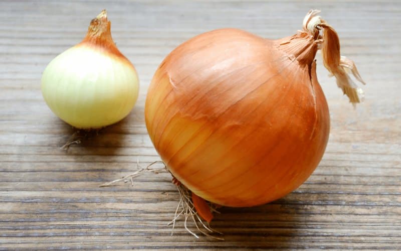 پیاز بزرگ مناسب رستوران ها و مجالس بزرگ